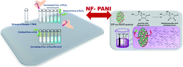 Graphical abstract: A nanocomposite of NiFe2O4–PANI as a duo active electrocatalyst toward the sensitive colorimetric and electrochemical sensing of ascorbic acid