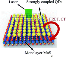 Graphical abstract: Strong suppression of emission quenching in core quantum dots coupled to monolayer MoS2
