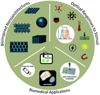 Graphical abstract: Photonics in nature and bioinspired designs: sustainable approaches for a colourful world