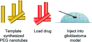 Graphical abstract: Poly(ethylene glycol) based nanotubes for tuneable drug delivery to glioblastoma multiforme