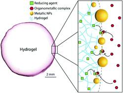 Graphical abstract: Controlling the distribution of nanoparticles in hydrogels via interfacial synthesis