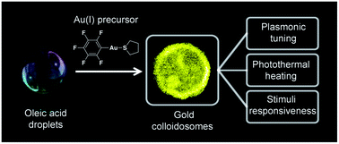 Graphical abstract: Single-step assembly of gold nanoparticles into plasmonic colloidosomes at the interface of oleic acid nanodroplets