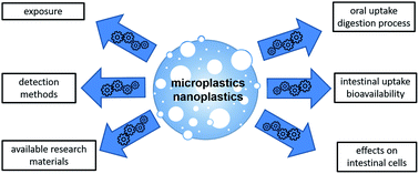 Graphical abstract: Micro- and nanoplastics – current state of knowledge with the focus on oral uptake and toxicity