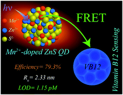 Graphical abstract: The quantum dot-FRET-based detection of vitamin B12 at a picomolar level