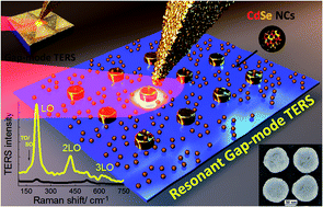 Graphical abstract: Resonant tip-enhanced Raman scattering by CdSe nanocrystals on plasmonic substrates