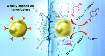 Graphical abstract: New gold standard: weakly capped infant Au nanoclusters with record high catalytic activity for 4-nitrophenol reduction and hydrogen generation from an ammonia borane–sodium borohydride mixture