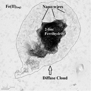 Graphical abstract: Further insights into the Fe(ii) reduction of 2-line ferrihydrite: a semi in situ and in situ TEM study