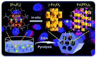 Graphical abstract: In situ embedding dual-Fe nanoparticles in synchronously generated carbon for the synergistic integration of magnetic resonance imaging and drug delivery