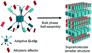 Graphical abstract: Adaptive molecular quaternary clips made with pyrene functionalized polyhedral oligomeric silsesquioxane
