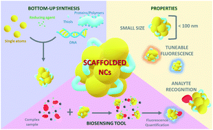 Graphical abstract: Biomarker sensing platforms based on fluorescent metal nanoclusters