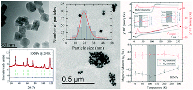 Graphical abstract: Identifying the presence of magnetite in an ensemble of iron-oxide nanoparticles: a comparative neutron diffraction study between bulk and nanoscale