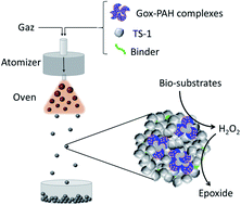 Graphical abstract: Hybrid chemoenzymatic heterogeneous catalyst prepared in one step from zeolite nanocrystals and enzyme–polyelectrolyte complexes