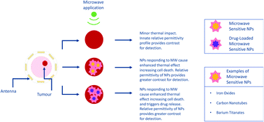 Graphical abstract: Nanomaterials responding to microwaves: an emerging field for imaging and therapy