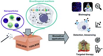 Graphical abstract: Nanoparticles and bioorthogonal chemistry joining forces for improved biomedical applications