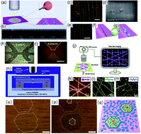 Graphical abstract: Optical visualization and imaging of nanomaterials