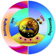 Graphical abstract: Gold nanomaterials for optical biosensing and bioimaging