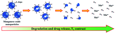 Graphical abstract: Tuneable manganese oxide nanoparticle based theranostic agents for potential diagnosis and drug delivery