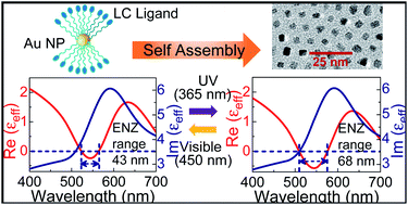 Graphical abstract: Photo-tunable epsilon-near-zero behavior in a self-assembled liquid crystal – nanoparticle hybrid material