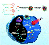 Graphical abstract: Light-triggered dual-modality drug release of self-assembled prodrug-nanoparticles for synergistic photodynamic and hypoxia-activated therapy