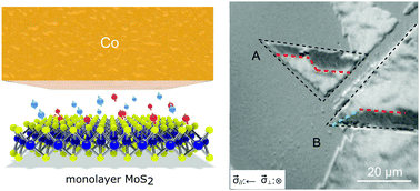 Graphical abstract: Spontaneously induced magnetic anisotropy in an ultrathin Co/MoS2 heterojunction
