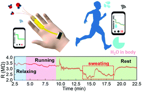 Graphical abstract: Highly stable Pd/HNb3O8-based flexible humidity sensor for perdurable wireless wearable applications