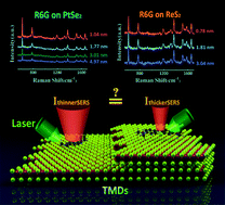 Graphical abstract: Origin of layer-dependent SERS tunability in 2D transition metal dichalcogenides