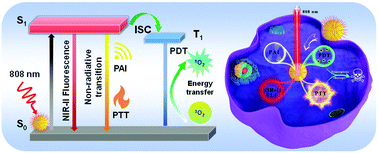 Graphical abstract: Near-infrared small molecule coupled with rigidness and flexibility for high-performance multimodal imaging-guided photodynamic and photothermal synergistic therapy