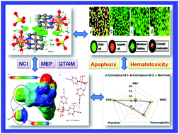 Graphical abstract: Charge-assisted hydrogen bond and nitrile⋯nitrile interaction directed supramolecular associations in Cu(ii) and Mn(ii) coordination complexes: anticancer, hematotoxicity and theoretical studies