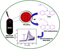 Graphical abstract: Synergistic activity of binary metal sulphide WS2–RuS2 nanospheres for the electrochemical detection of the antipsychotic drug promazine