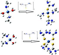 Graphical abstract: A kinetic and mechanistic study of analogous bifunctional dialkylamine platinum(ii) complexes