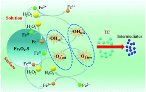 Graphical abstract: Degradation of tetracycline in water using Fe3O4 nanospheres as Fenton-like catalysts: kinetics, mechanisms and pathways