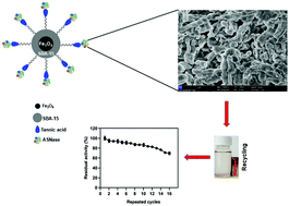 Graphical abstract: Comparative study of ASNase immobilization on tannic acid-modified magnetic Fe3O4/SBA-15 nanoparticles to enhance stability and reusability