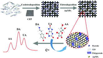 Graphical abstract: Gold nanoparticle decorated polypyrrole/graphene oxide nanosheets as a modified electrode for simultaneous determination of ascorbic acid, dopamine and uric acid