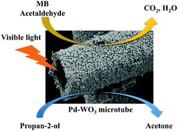 Graphical abstract: Visible-light-driven conversion of organic compounds over WO3-based microtubes with mesoporous-walled structure