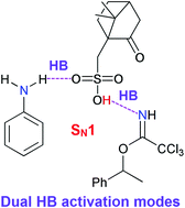 Graphical abstract: Monoalkylation of aniline with trichloroacetimidate catalyzed by (±)-camphorsulfonic acid through an SN1 reaction based on dual hydrogen-bonding activation modes