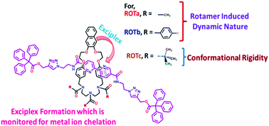 Graphical abstract: Fluorophoric [2]rotaxanes: post-synthetic functionalization, conformational fluxionality and metal ion chelation
