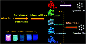 Graphical abstract: Amphiphilic fluorescent carbon nanodots as a selective nanoprobe for nitrite and tetracycline both in aqueous and organic solutions