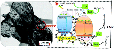 Graphical abstract: Facile hydrothermal synthesis of CuO–Cu2O/GO nanocomposites for the photocatalytic degradation of organic dye and tetracycline pollutants