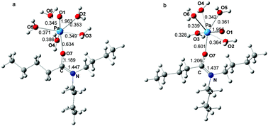 Graphical abstract: Density functional theory investigations on the coordination of Pa(v) with N,N-dialkylamide
