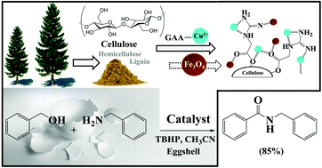 Graphical abstract: Oxidative amidation by Cu(ii)–guanidine acetic acid immobilized on magnetized sawdust with eggshell as a natural base