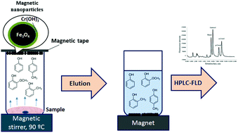 Graphical abstract: Magnetic headspace adsorptive microextraction using Fe3O4@Cr(OH)3 nanoparticles for effective determination of volatile phenols