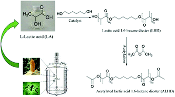 Graphical abstract: Synthesis and properties of a bio-based PVC plasticizer derived from lactic acid