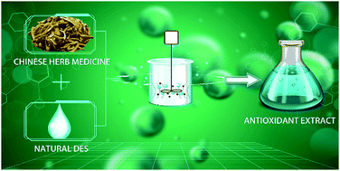 Graphical abstract: Ultrasound-assisted extraction of bioactive alkaloids from Phellodendri amurensis cortex using deep eutectic solvent aqueous solutions