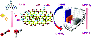 Graphical abstract: In situ construction of hybrid MnO2@GO heterostructures for enhanced visible light photocatalytic, anti-inflammatory and anti-oxidant activity