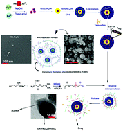 Graphical abstract: Magnetite mesoporous silica nanoparticles embedded in carboxybetaine methacrylate for application in hyperthermia and drug delivery