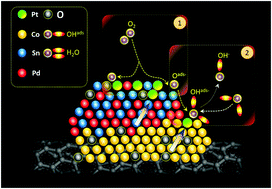 Graphical abstract: Heterogeneous assembly of Pt-clusters on hierarchically structured CoOx@SnPd2@SnO2 quaternary nanocatalysts manifesting oxygen reduction reaction performance