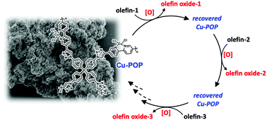 Graphical abstract: Cu(ii)Cl2 containing bispyridine-based porous organic polymer support prepared via alkyne–azide cycloaddition as a heterogeneous catalyst for oxidation of various olefins