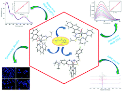 Graphical abstract: Synthesis, structure and characterization of new dithiocarbazate-based mixed ligand oxidovanadium(iv) complexes: DNA/HSA interaction, cytotoxic activity and DFT studies