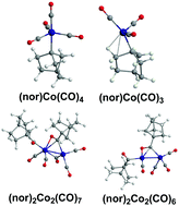 Graphical abstract: Unusual effects of the bulky 1-norbornyl group in cobalt carbonyl chemistry: low-energy structures with agostic hydrogen atoms
