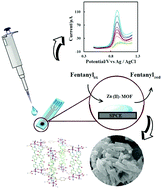 Graphical abstract: A new electrochemical sensor for the detection of fentanyl lethal drug by a screen-printed carbon electrode modified with the open-ended channels of Zn(ii)-MOF